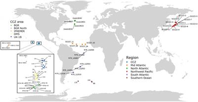 Eukaryotic Biodiversity and Spatial Patterns in the Clarion-Clipperton Zone and Other Abyssal Regions: Insights From Sediment DNA and RNA Metabarcoding